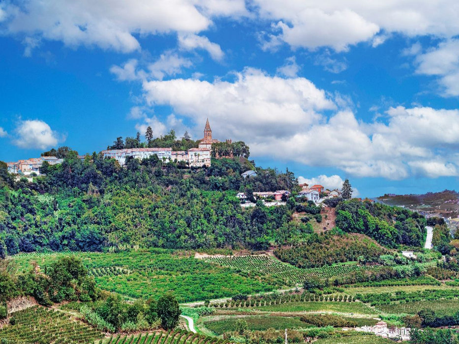 Weinanbau im Piemont in der Region Roero - CALVENDO Foto-Puzzle'