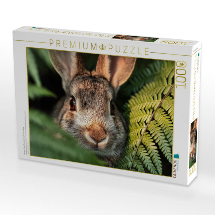 Neugier blinzelt zwischen Farn und Sonne - CALVENDO Foto-Puzzle'