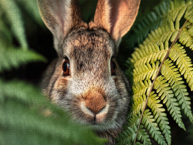 Neugier blinzelt zwischen Farn und Sonne - CALVENDO Foto-Puzzle'
