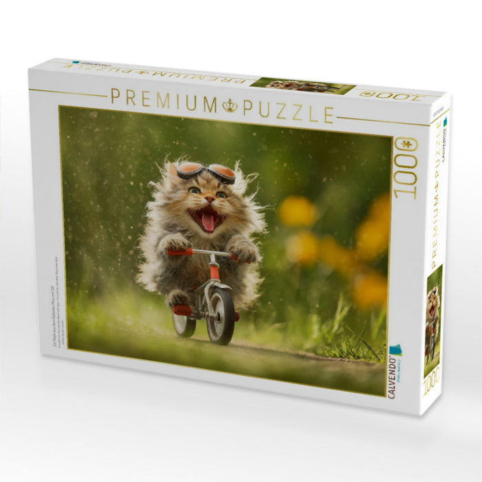 Ein Motiv aus dem Kalender Miau mit Stil - CALVENDO Foto-Puzzle'