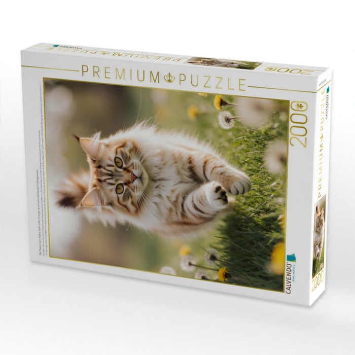 Die Maine Coon Katze läuft voller Energie durch eine blühende Frühlingswiese. - CALVENDO Foto-Puzzle'