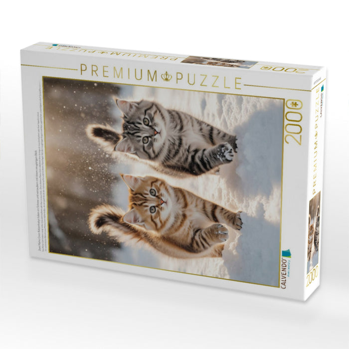 Zwei Maine Coon Katzenbabys toben im Schnee und verzaubern mit ihrem neugierigen Blick. - CALVENDO Foto-Puzzle'