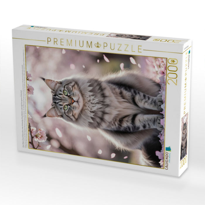 Eine Maine Coon Katze sitzt unter blühenden Kirschblüten und zeigt ihre ganze Schönheit. - CALVENDO Foto-Puzzle'