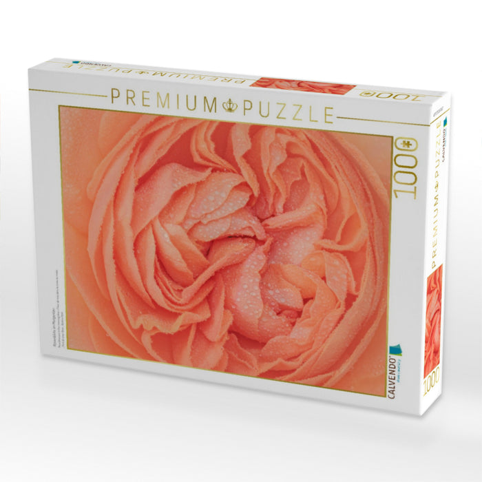 Rosenblüte im Morgentau - CALVENDO Foto-Puzzle'