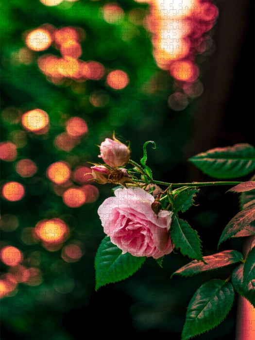 Ein Motiv aus dem Kalender Bubble Bokeh - CALVENDO Foto-Puzzle'