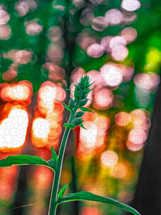 Orchidee Bokeh - CALVENDO Foto-Puzzle'