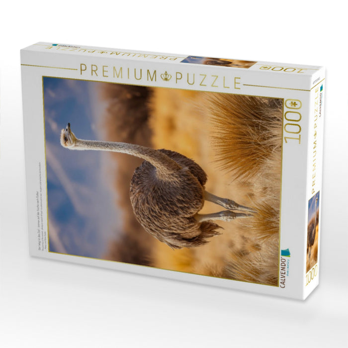 Der Weg ist das Ziel - immer auf der Suche nach Futter - CALVENDO Foto-Puzzle'