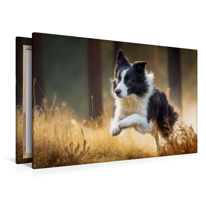 Premium Textil-Leinwand Ein schneller Sprint