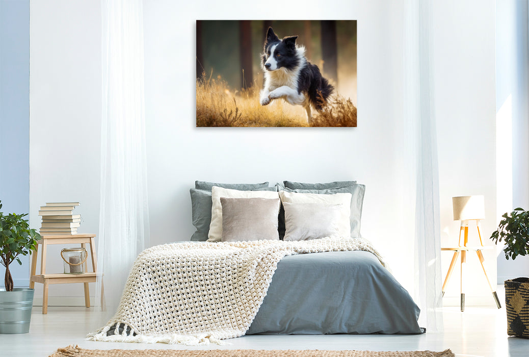 Premium Textil-Leinwand Ein schneller Sprint