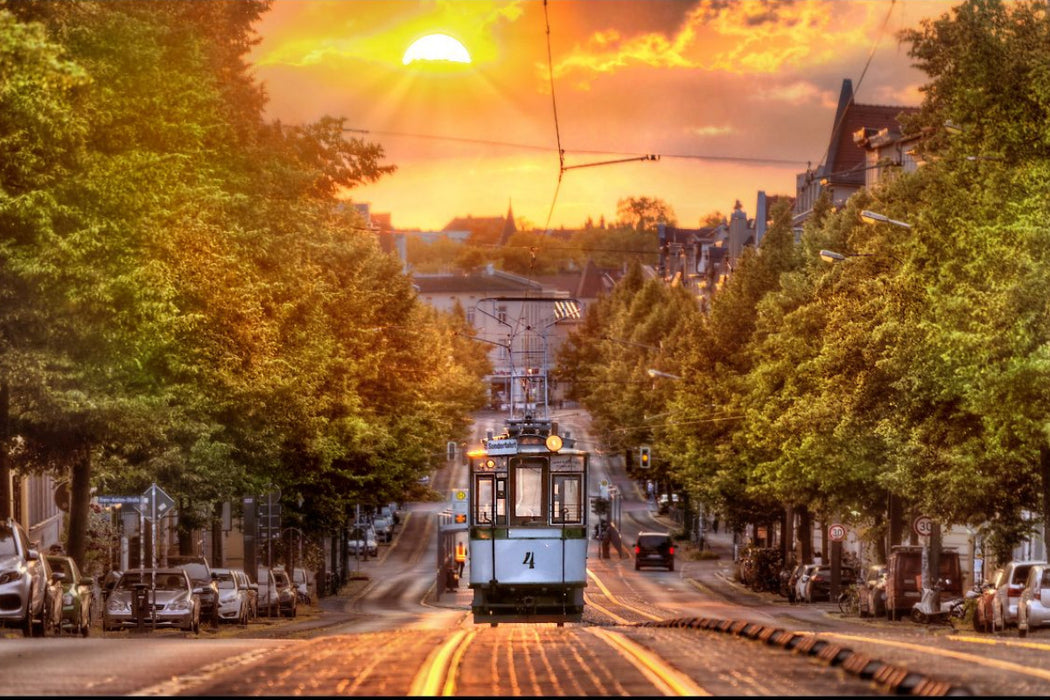 Premium Textil-Leinwand Ein Sommerabend in der LuWu.