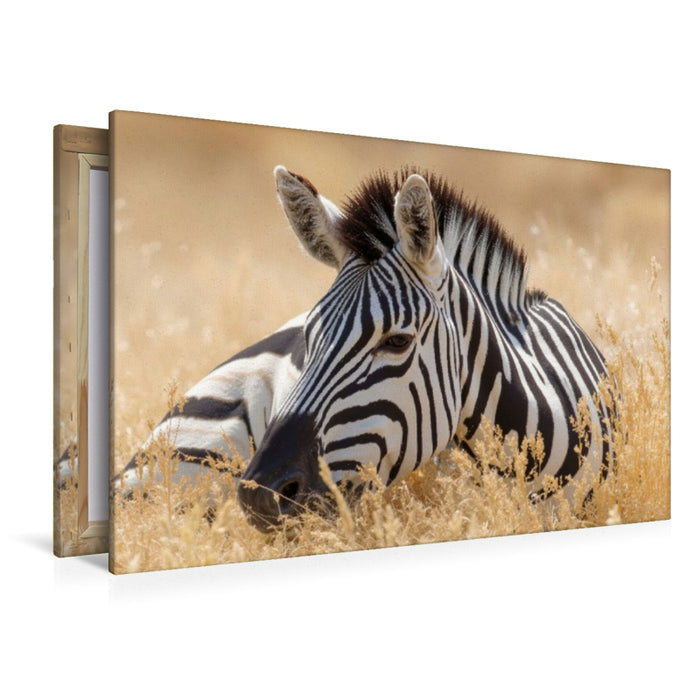 Premium Textil-Leinwand Schönheit und Natur