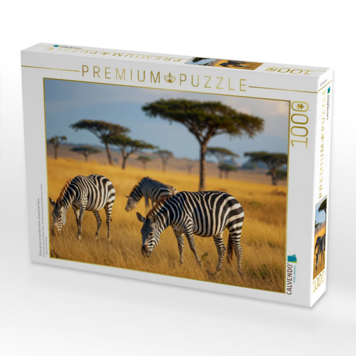 Zebras grasen in wunderschöner afrikanischer Natur - CALVENDO Foto-Puzzle'
