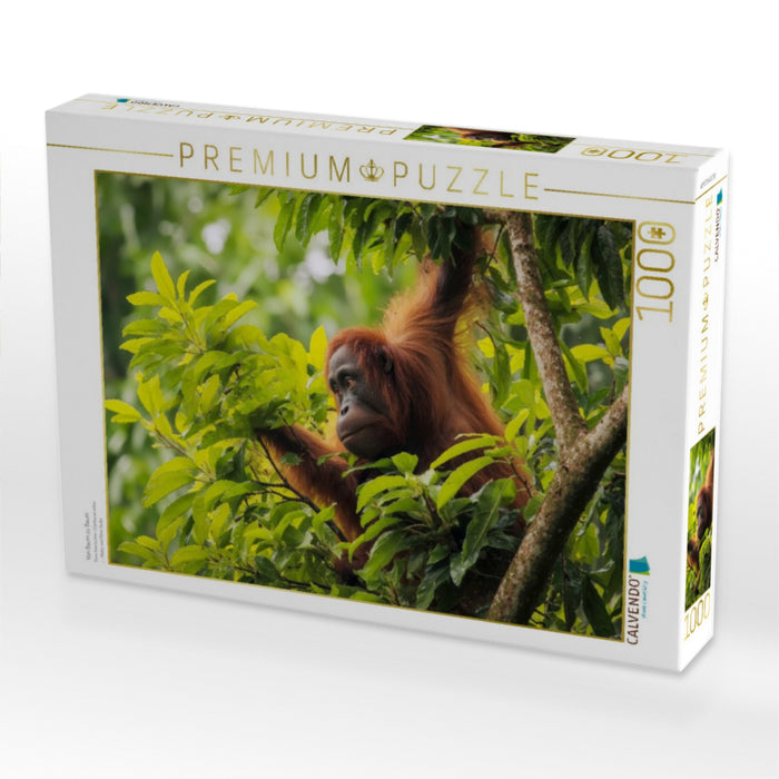 Von Baum zu Baum - CALVENDO Foto-Puzzle'