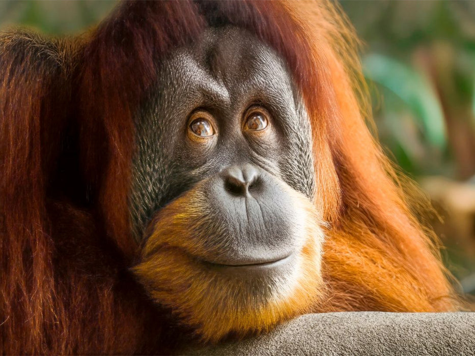 Ein schöner Moment - Ruhe und Zufriedenheit - CALVENDO Foto-Puzzle'