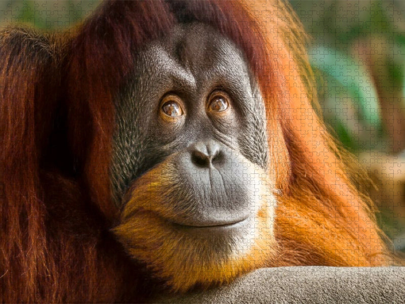 Ein schöner Moment - Ruhe und Zufriedenheit - CALVENDO Foto-Puzzle'