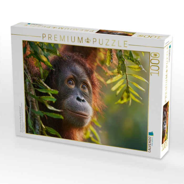 Was wird dieser Orang-Utan als nächstes tun? - CALVENDO Foto-Puzzle'