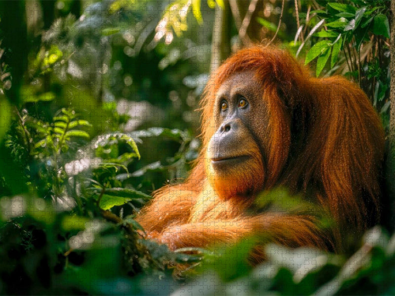 Welch ein berührender Anblick - CALVENDO Foto-Puzzle'