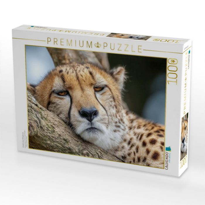 Endlich eine Ruhepause - CALVENDO Foto-Puzzle'