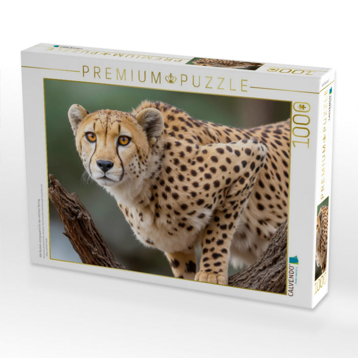 Alle Muskeln sind gespannt für den nächsten Sprung - CALVENDO Foto-Puzzle'