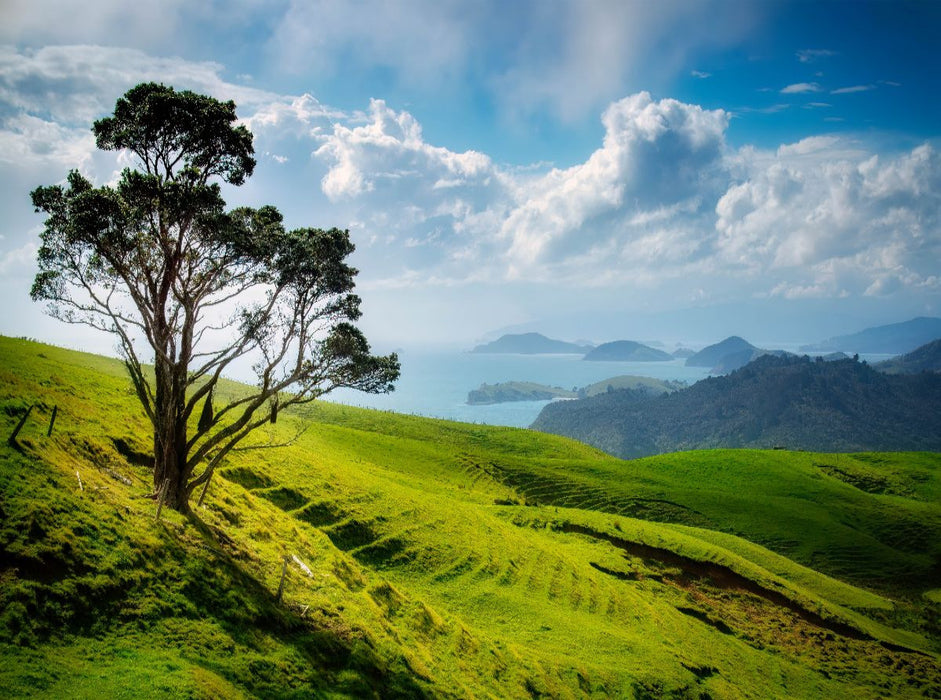 Northland - CALVENDO Foto-Puzzle'