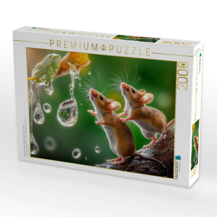 Zwei Mäuse beim Regentropfen-Fangen-Spiel - CALVENDO Foto-Puzzle'