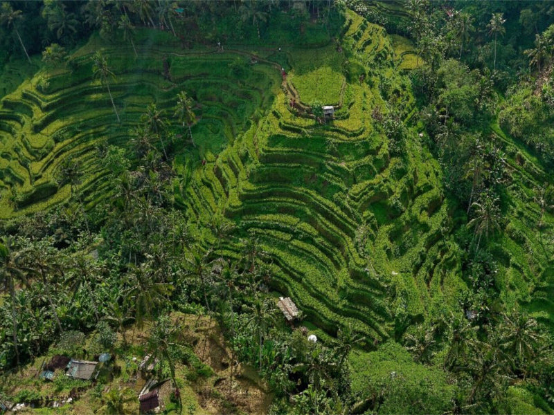 neunziggrad I photoart: indonesien - CALVENDO Foto-Puzzle'