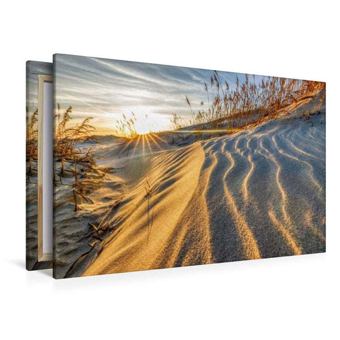 Premium Textil-Leinwand Sandwege im Frühlingswind