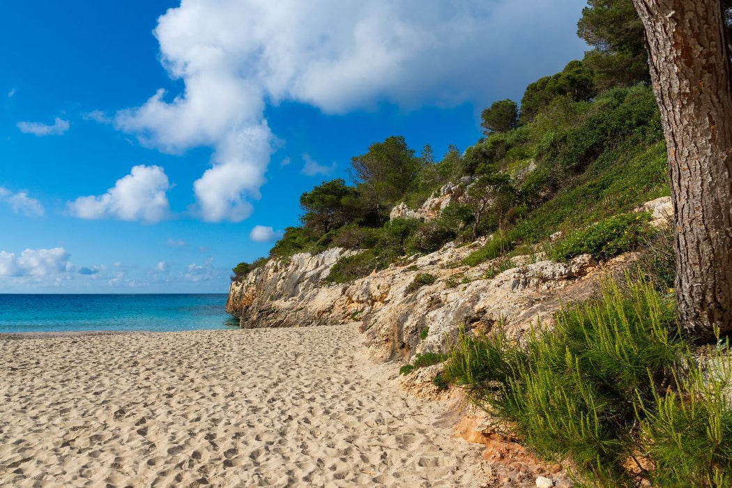 Premium Textil-Leinwand Cala Anguila Beach