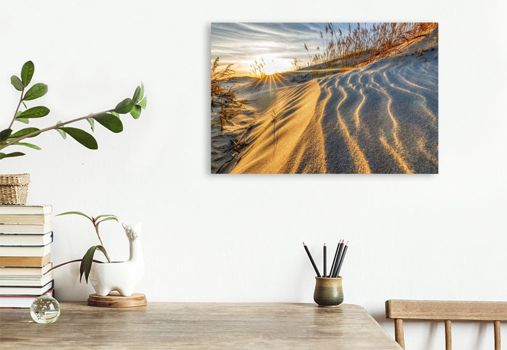 Premium Textil-Leinwand Sandwege im Frühlingswind