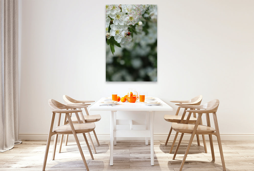 Premium Textil-Leinwand Ein kleiner Marienkäfer als Glücksbringer