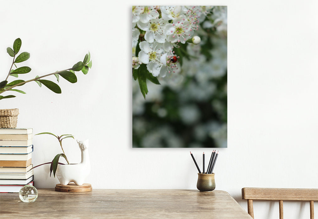 Premium Textil-Leinwand Ein kleiner Marienkäfer als Glücksbringer