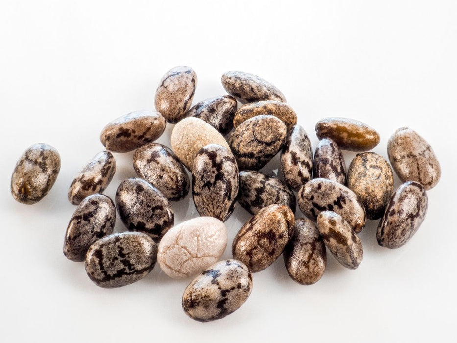 Chia-Samen - CALVENDO Foto-Puzzle'