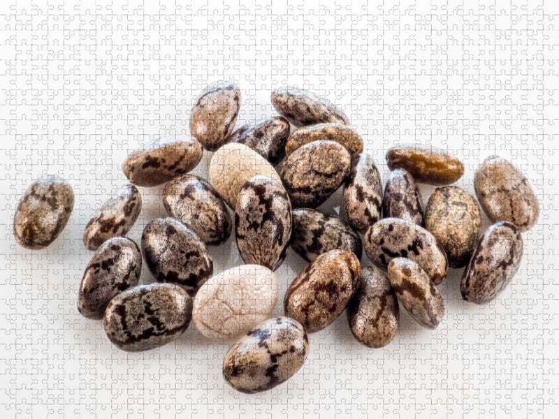 Chia-Samen - CALVENDO Foto-Puzzle'