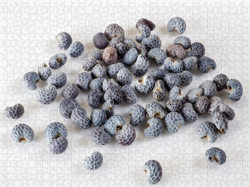 Blaumohn - CALVENDO Foto-Puzzle'