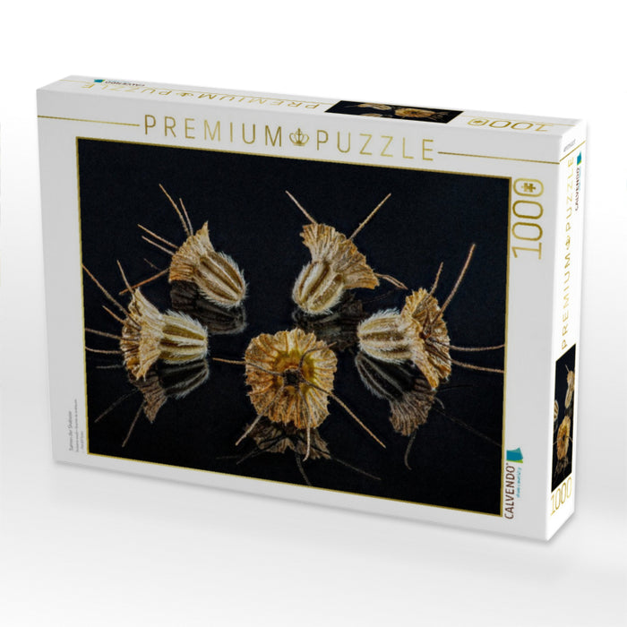 Samen der Skabiose - CALVENDO Foto-Puzzle'