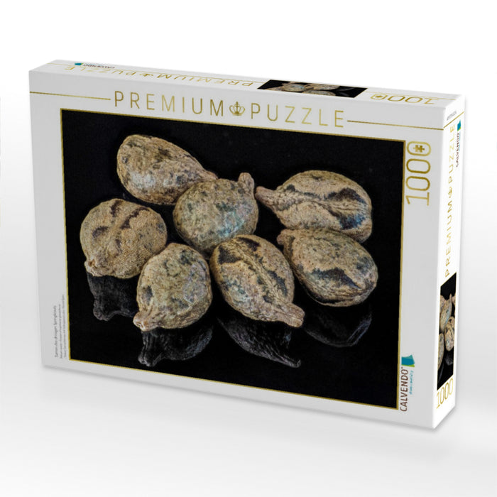 Samen des drüsigen Springkrauts - CALVENDO Foto-Puzzle'