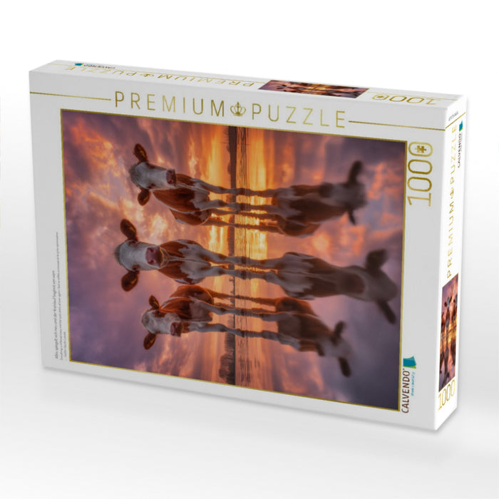 Alles spiegelt sich neu und der Kreislauf beginnt von vorn - CALVENDO Foto-Puzzle'