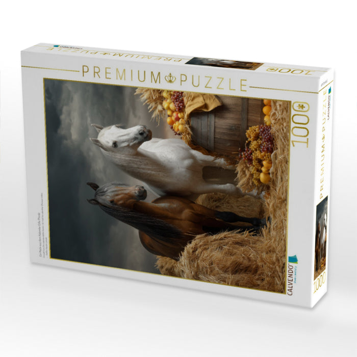Ein Motiv aus dem Kalender Edle Pferde - CALVENDO Foto-Puzzle'