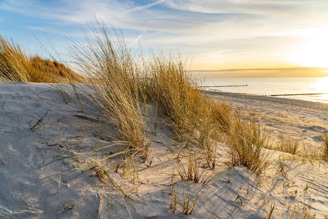 Premium Textil-Leinwand Strand bei Wustrow