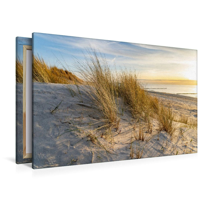 Premium Textil-Leinwand Strand bei Wustrow
