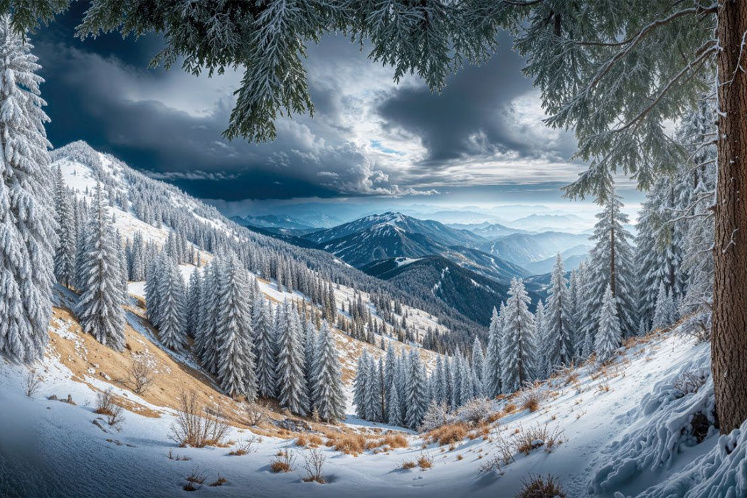 Premium Textil-Leinwand Schwarzwald