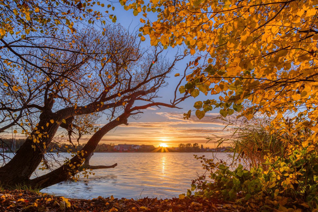 Premium Textil-Leinwand Goldener Herbstabend am Tiefwarensee