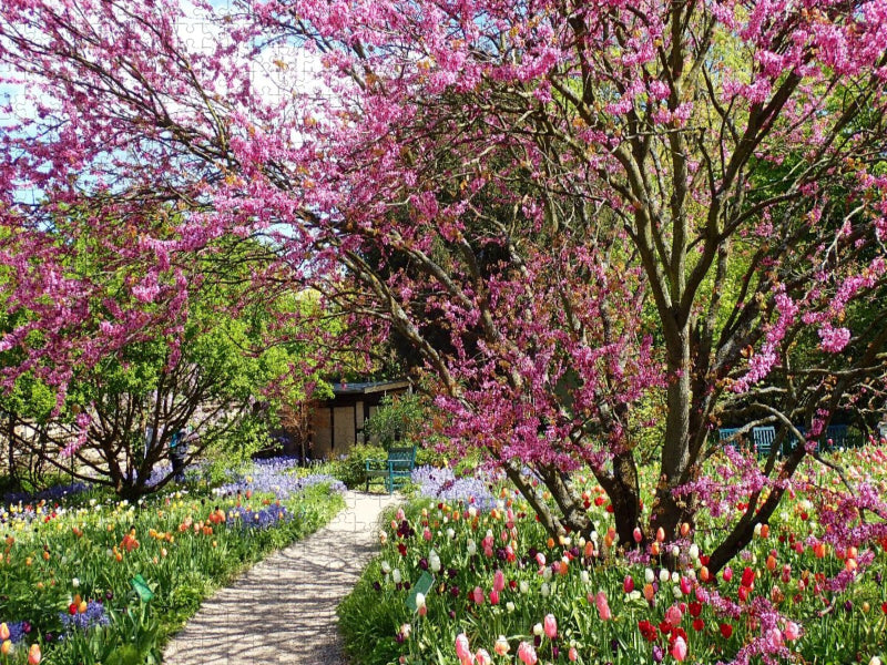 Frühling im Hermannshof in Weinheim an der Bergstraße - CALVENDO Foto-Puzzle'