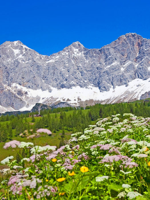 Der Dachstein - CALVENDO Foto-Puzzle'