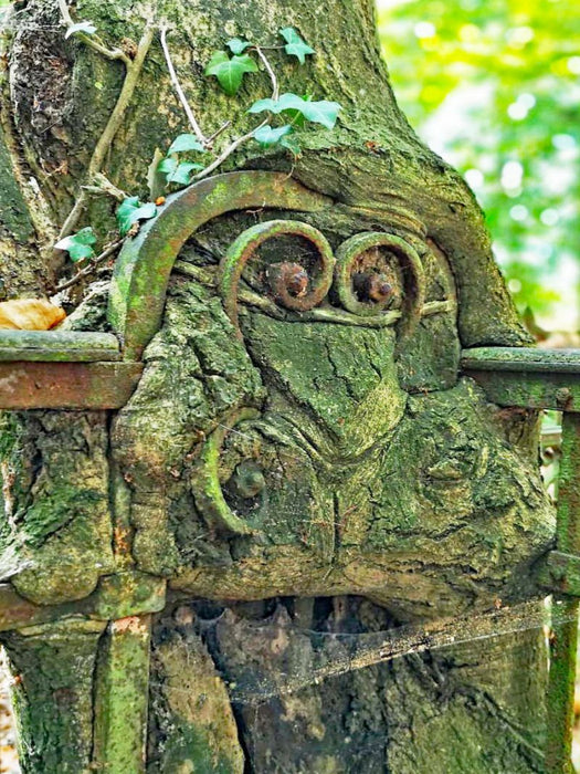 Mister Cool - CALVENDO Foto-Puzzle'