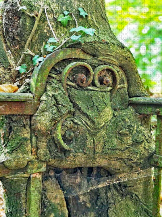 Mister Cool - CALVENDO Foto-Puzzle'