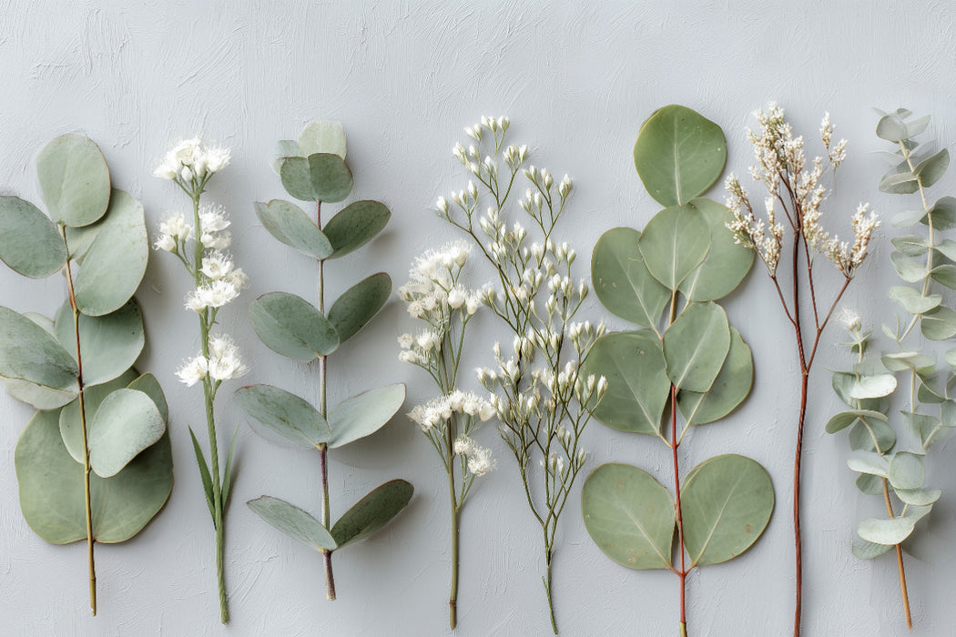 Premium Textil-Leinwand Natürlich Modern Zeitlos