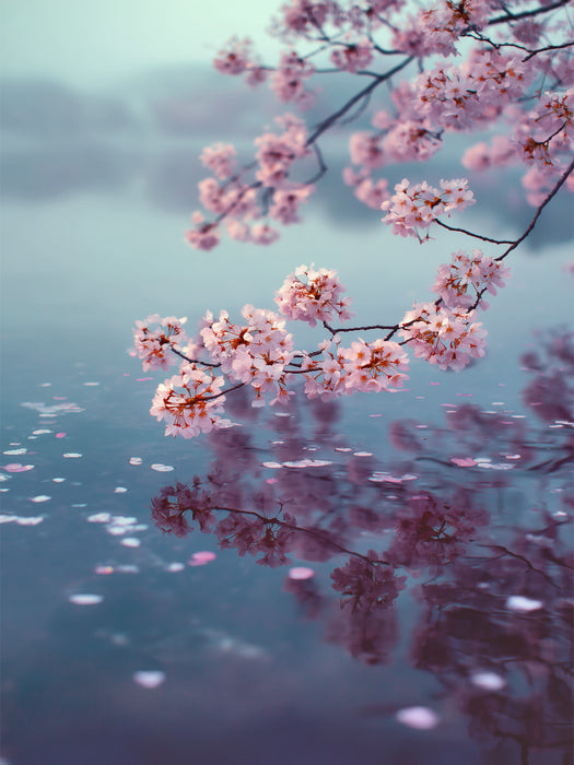 Ein Moment zwischen Stille und Ewigkeit - CALVENDO Foto-Puzzle'