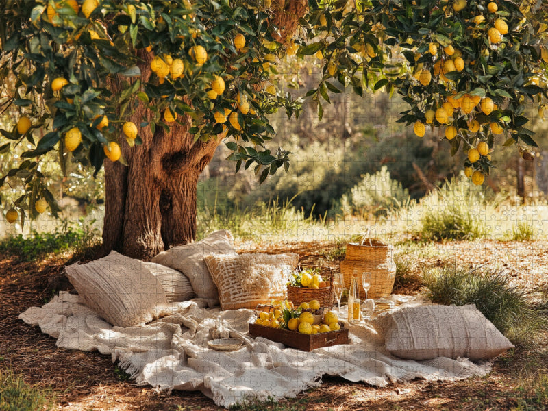 Erntezeit im warmen Licht des Südens - CALVENDO Foto-Puzzle'