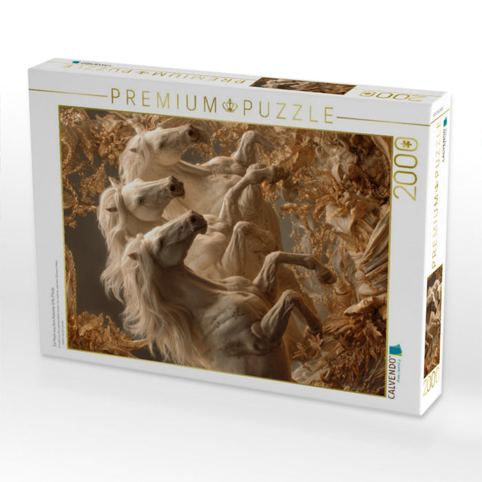 Ein Motiv aus dem Kalender Edle Pferde - CALVENDO Foto-Puzzle'